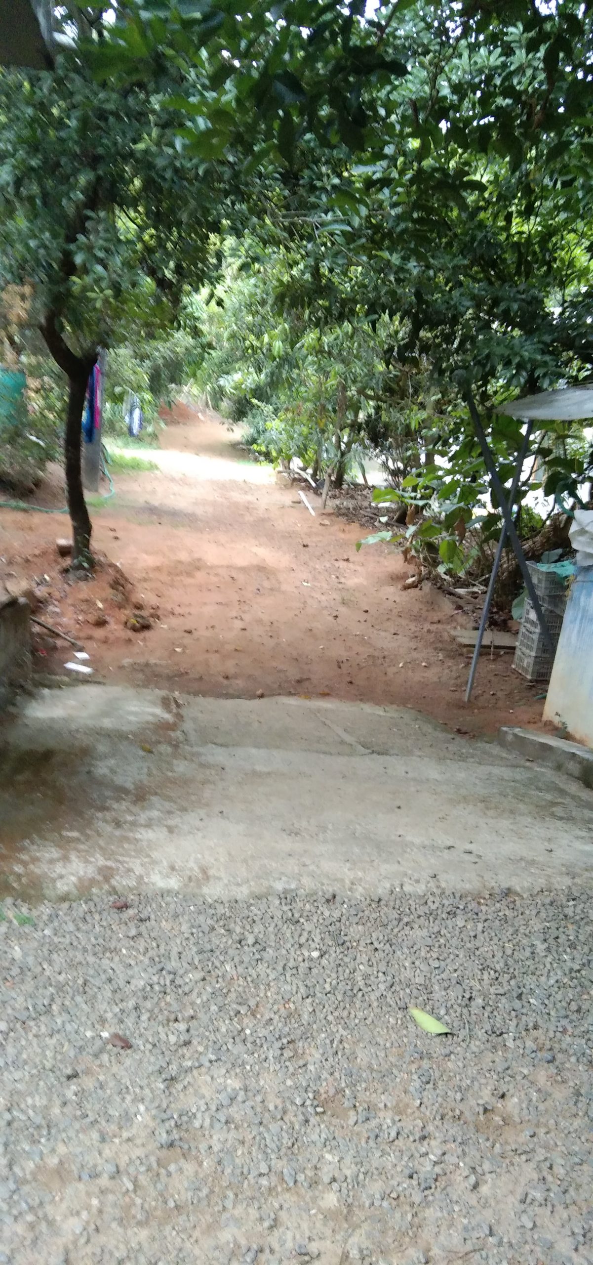 Land for Sale in Neendoor Kottayam