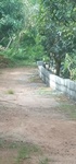 Land for Sale in Neendoor Kottayam