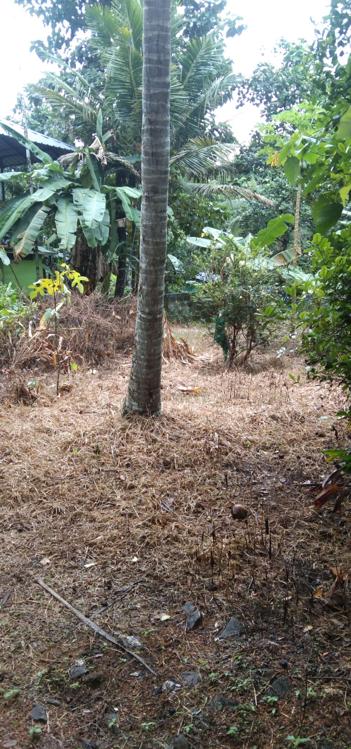 Land for Sale in Neendoor Kottayam