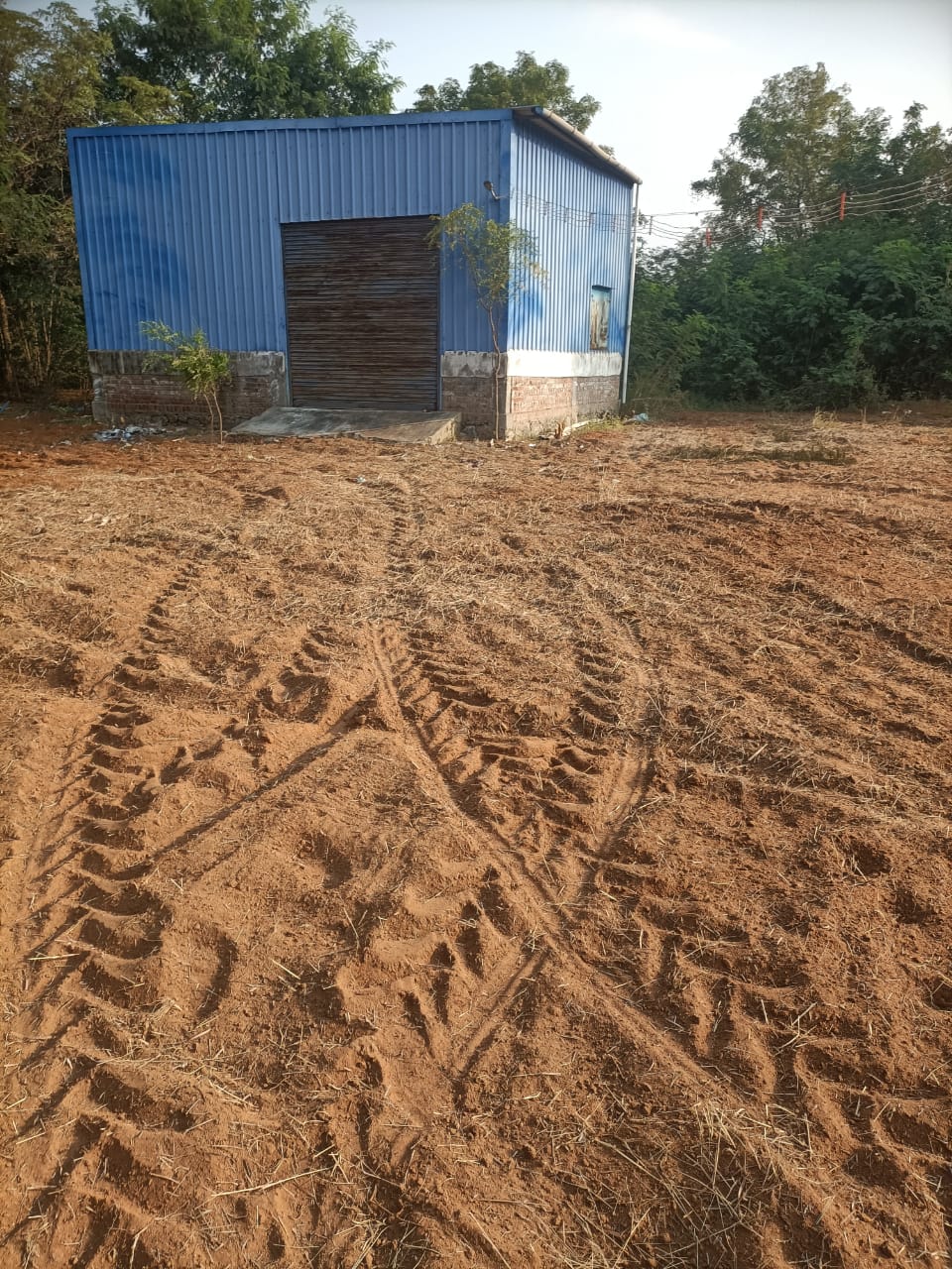 29 Cents Prime Farm Land in Tirunelveli for Sale